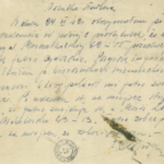 Dzieje jednego futra…